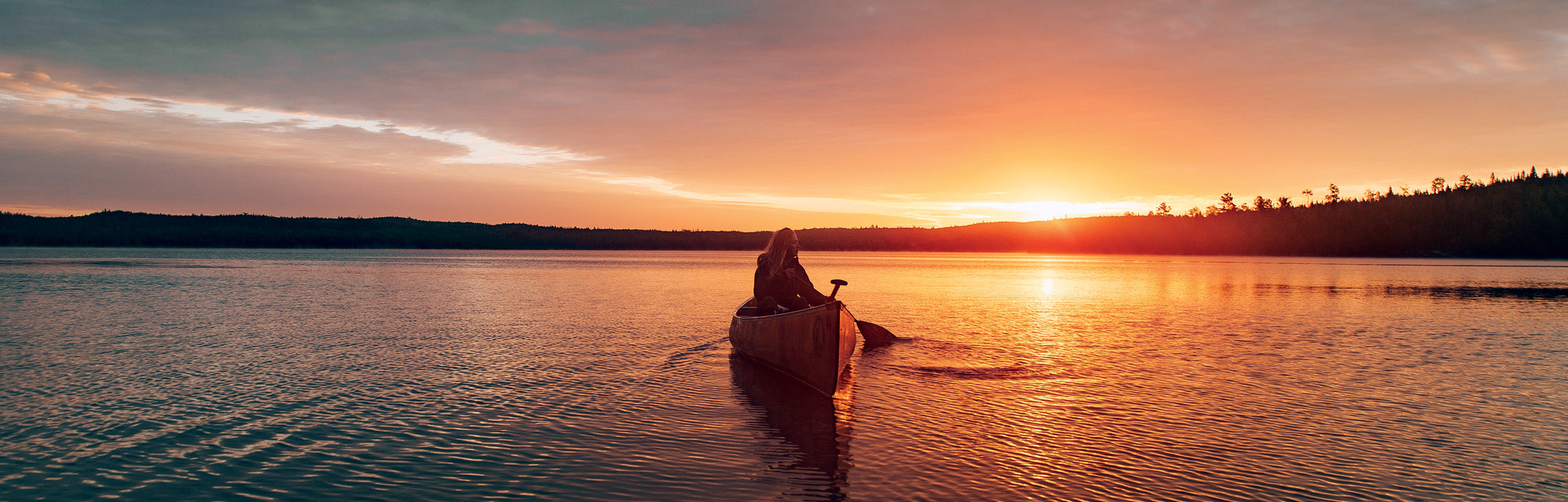 Lumière sur l'EDPN et ses partenaires